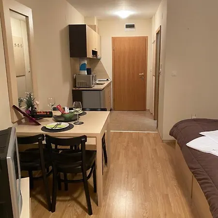 Apartment Aspen Suits Studio *